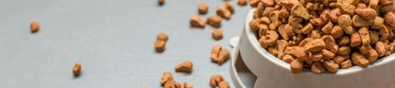evoluzione pet food