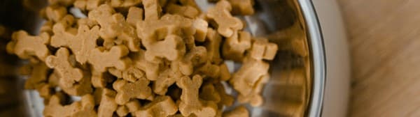 Analisi pet food secco cani e gatti