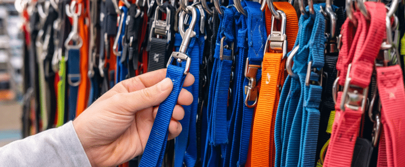 Analisi sul comparto Accessori Pet sui volantini dei Pet Specialist