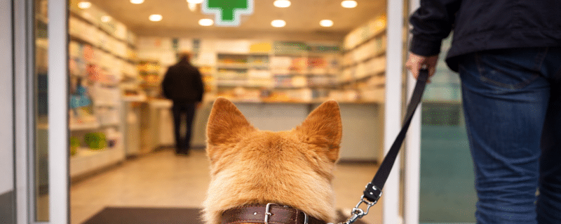 Analisi macrocategoria veterinaria nelle farmacie online